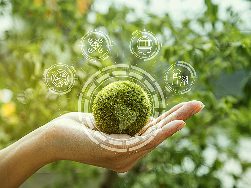 サステナブル部門 イメージ