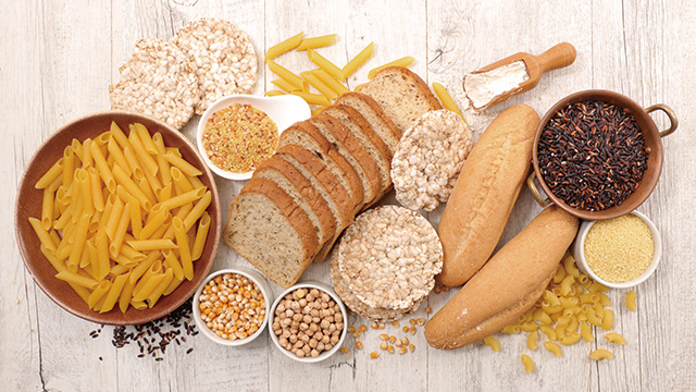 代替食・食品素材